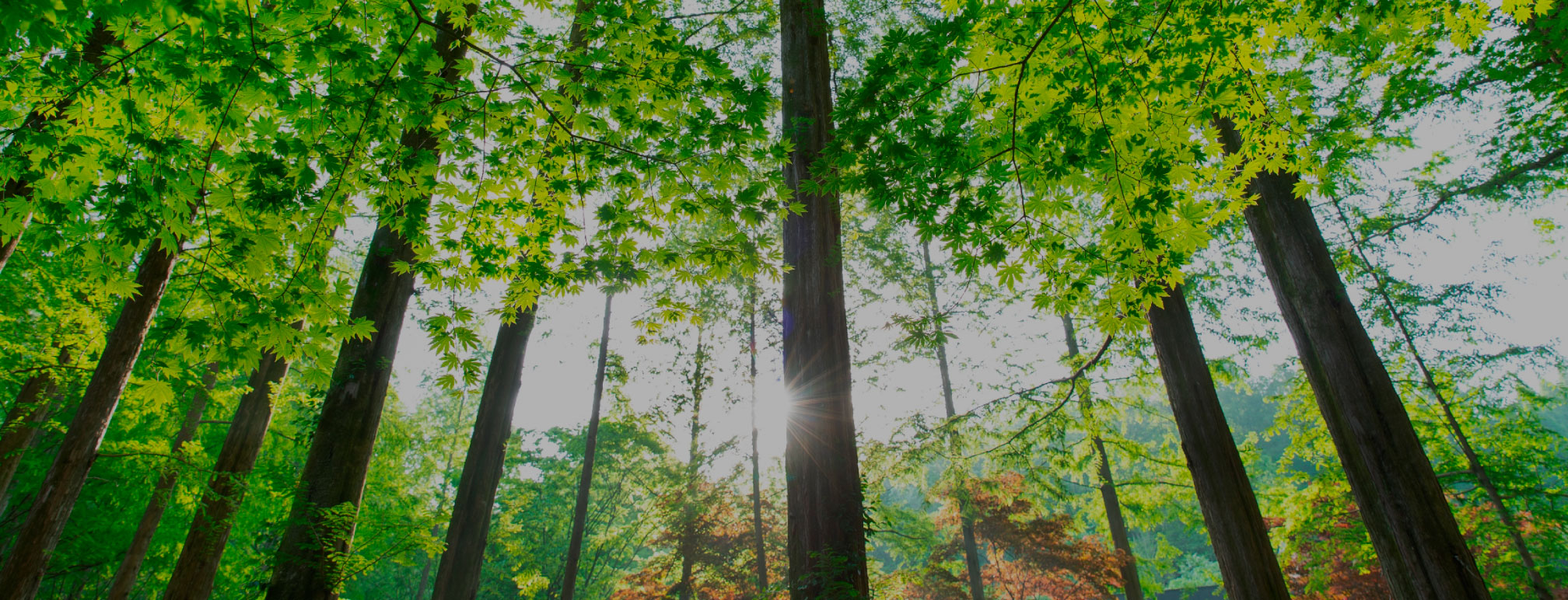 다산가구타운